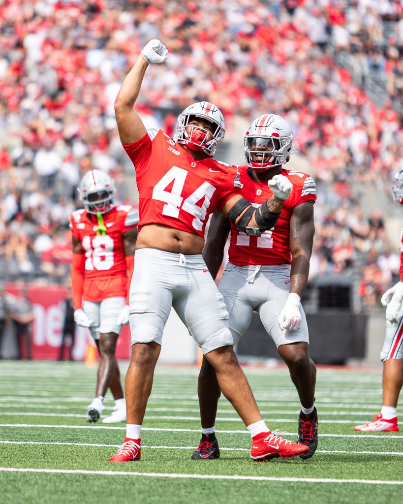 Ohio State football players celebrating on the field at Ohio Stadium